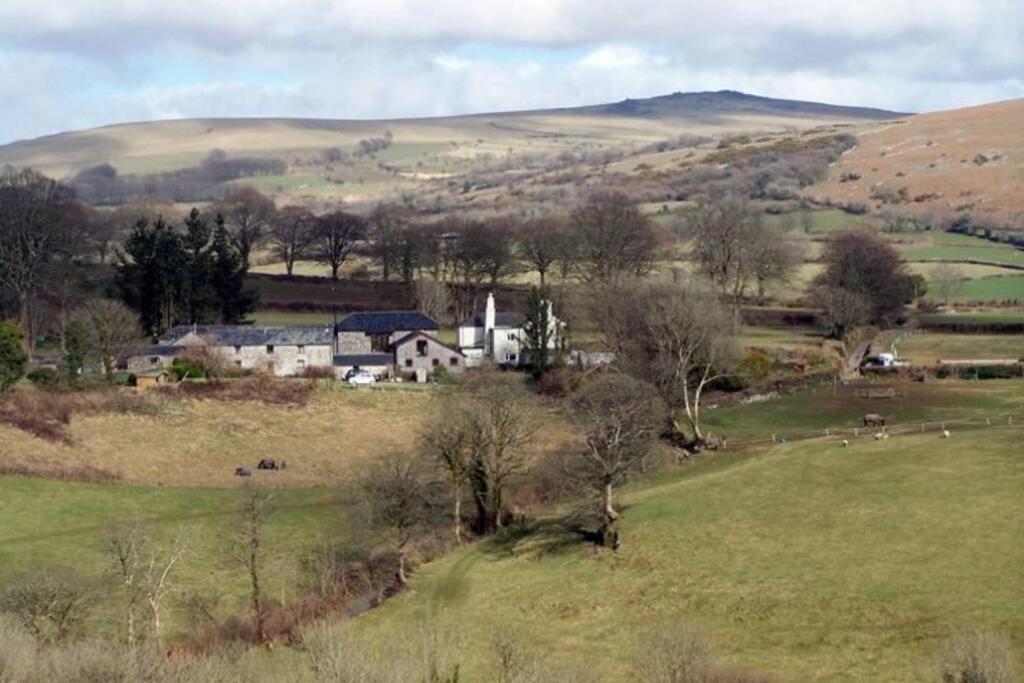Wilson Dartmoor *